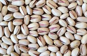 پسته اکبری خام رفسنجان نمونه ممتاز صادراتی